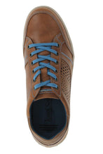 Load image into Gallery viewer, Gatteo 12