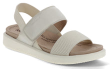 Load image into Gallery viewer, Albi 07