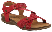 Load image into Gallery viewer, Corkie 02