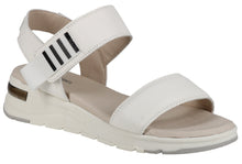 Load image into Gallery viewer, Willa 02