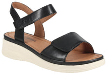 Load image into Gallery viewer, Sevran 01