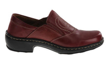 Load image into Gallery viewer, Dana