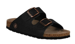 Roemer 12