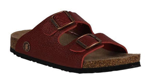 Roemer 12